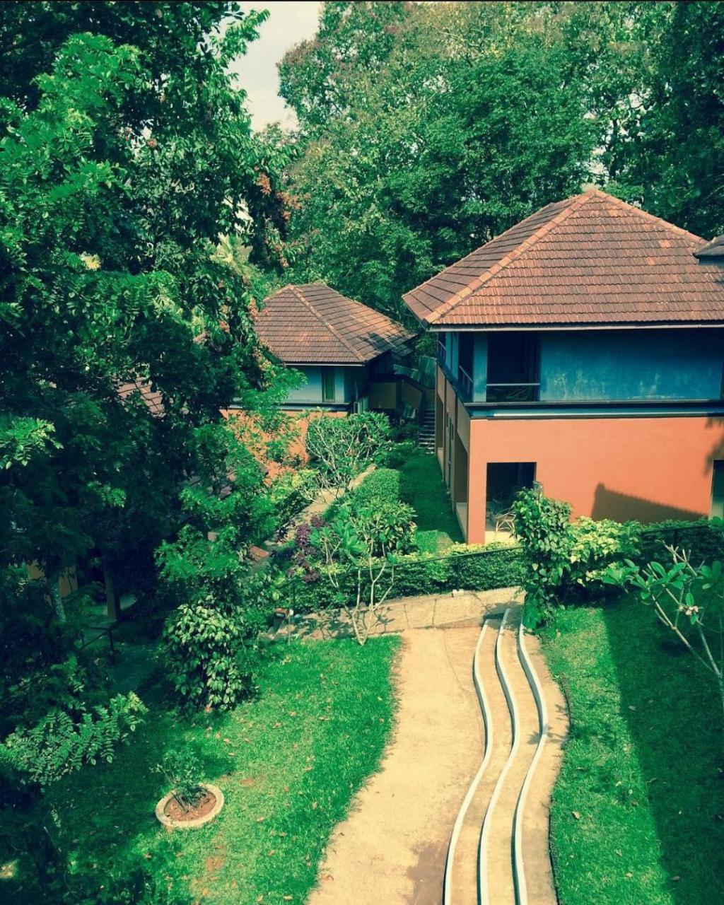 Abad Green Forest Thekkady Kumily Экстерьер фото