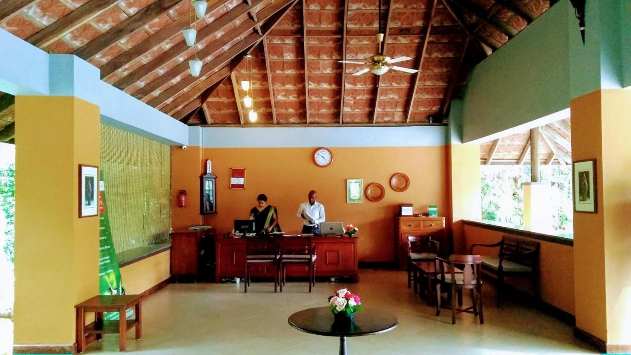 Abad Green Forest Thekkady Kumily Экстерьер фото